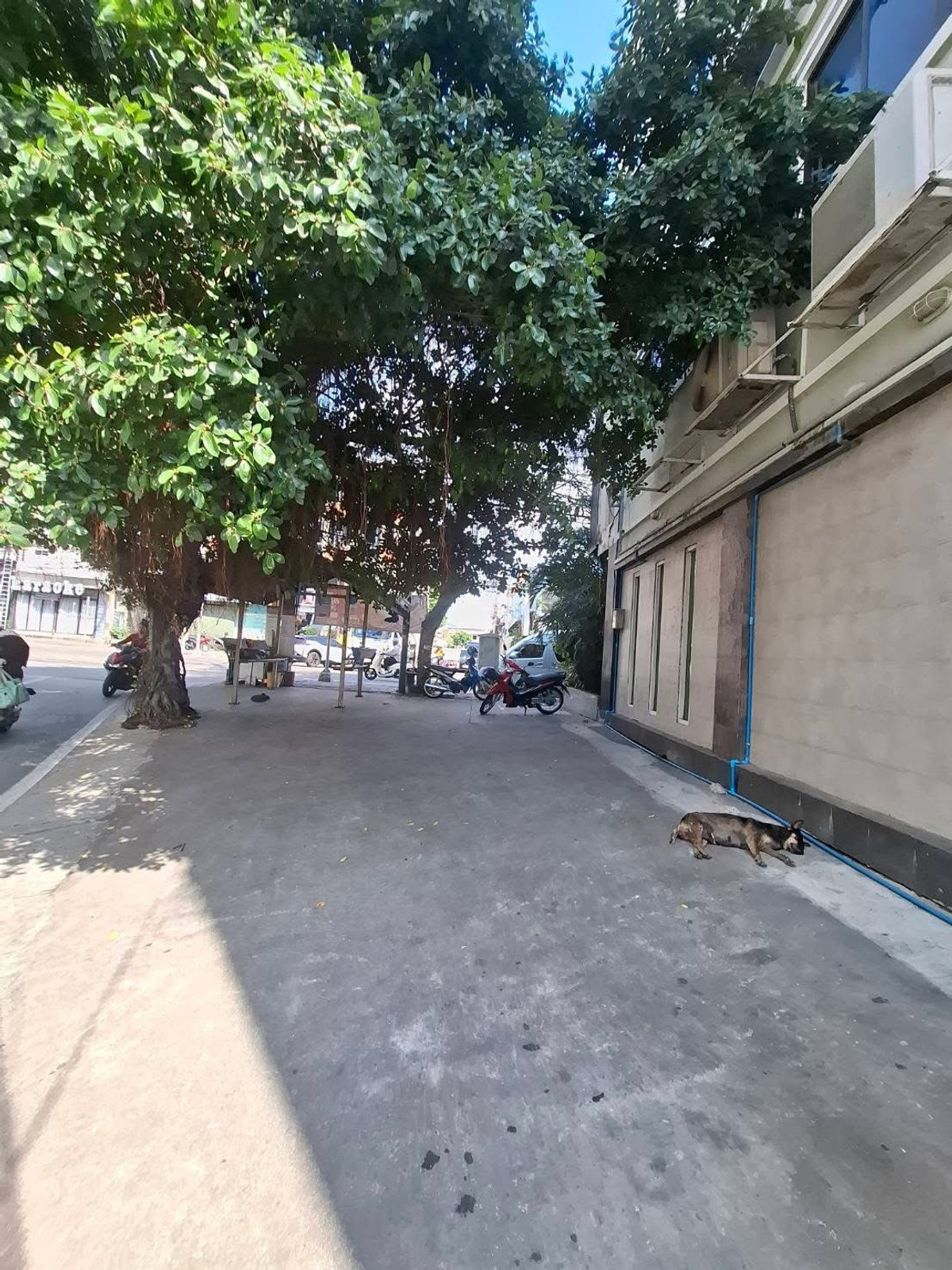 For RentShop HousePattaya, Bangsaen, Chonburi : Commercial Building for Lease – Prime Location in Pattaya