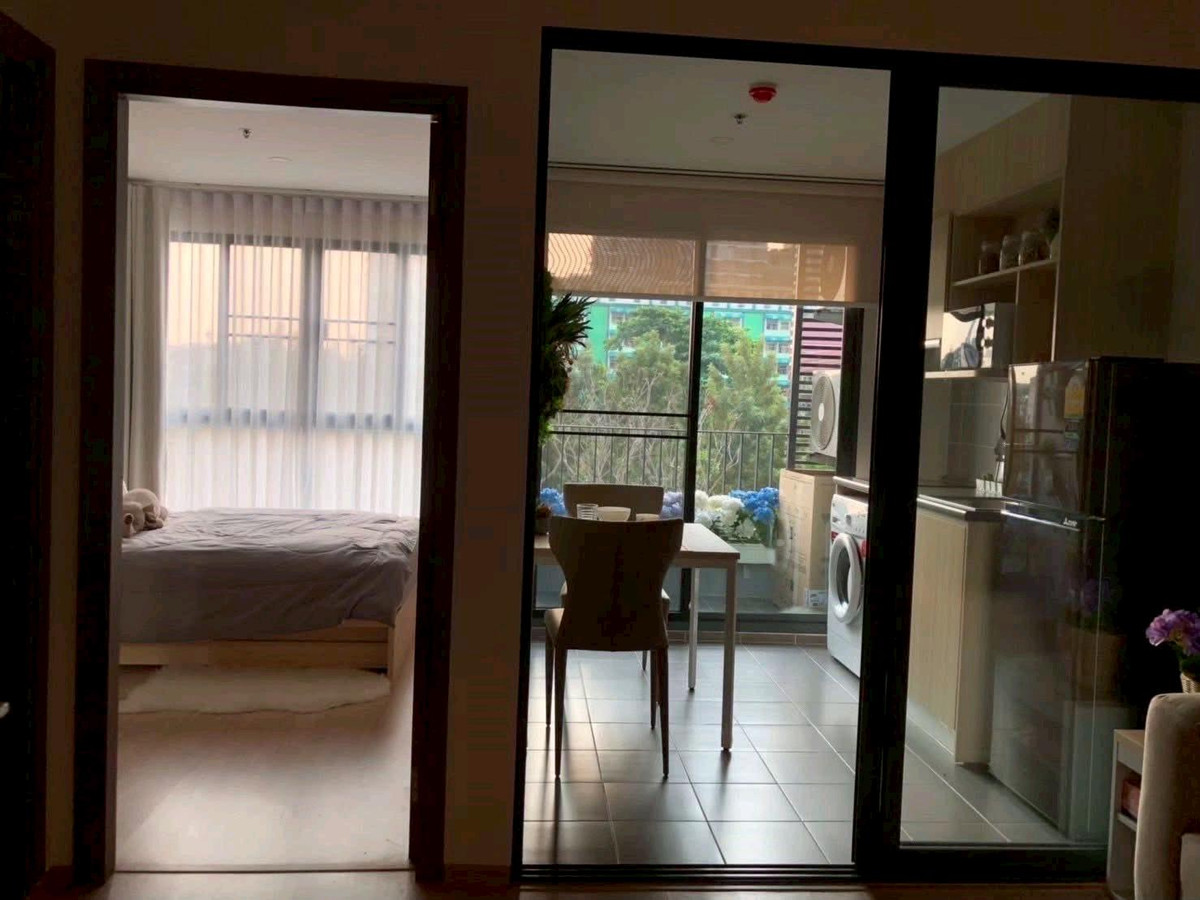 For RentCondoBangna, Bearing, Lasalle : #E210🎉 260369 Condo for rent at Ideo O2