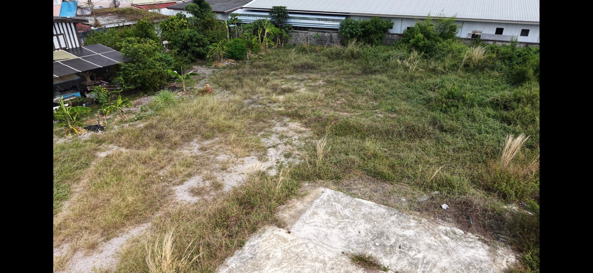 ขายที่ดินพัทยา บางแสน ชลบุรี สัตหีบ : ที่ดินสัตหีบ ซอย19 ห่างจากถนนสุขุมวิทเพียง 15 เมตร ทำเลดี ห่างจากพัทยา 20 นาที 