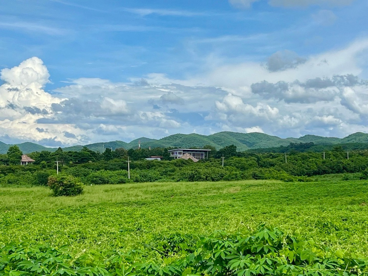 ขายบ้านสระบุรี : ขายบ้านเดี่ยว/รีสอร์ท พร้อมที่ดิน 10ไร่ วิวภูเขา เหมาะอยู่อาศัยทำโรงแรม รีสอร์ท โฮมสเตย์ พูลวิลล่า Air bnb และการเกษตร วังม่วง สระบุรี แต่งสวยจัด น่าลงทุนมาก ขายถูก