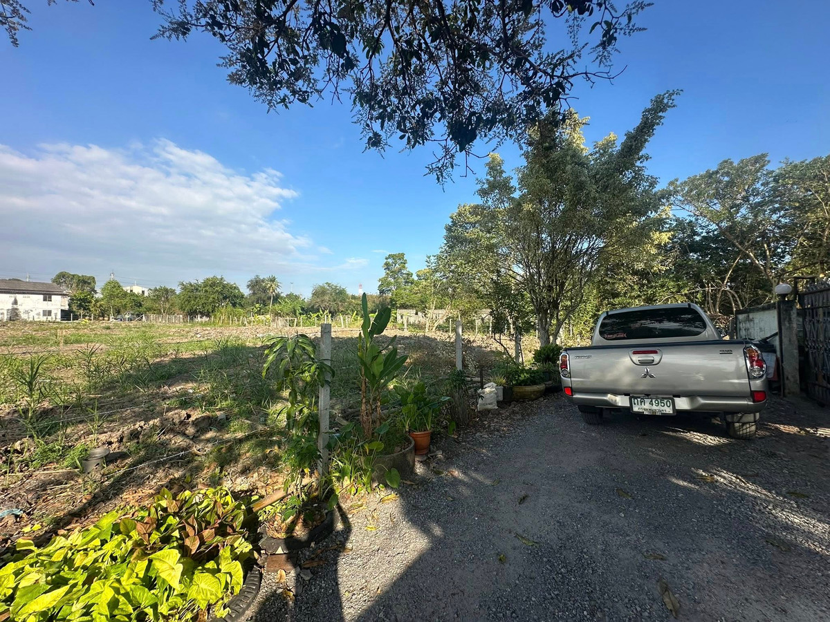 ให้เช่าที่ดินมีนบุรี-ร่มเกล้า :  ให้เช่าที่ดินทำเลดี สุวินทวงศ์ 58 (หนองจอก)