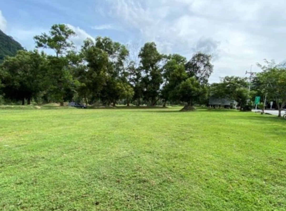 ขายที่ดินภูเก็ต : ที่ดินเปล่าแปลงใหญ่ จ.ภูเก็ต มีหลายแปลงหลายทำเล