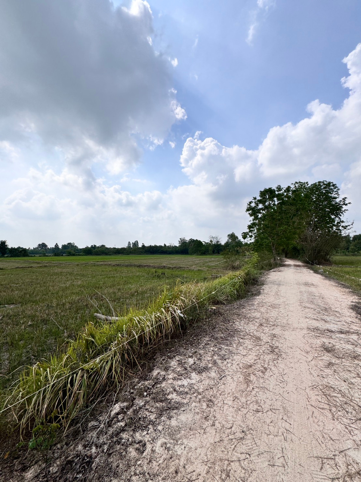 For SaleLandUthai Thani : [Land for sale very cheap] It is a rice field on an area of ​​23 rai 2 ngan, inexpensive price in the land of Nong Chang District, Uthai Thani.