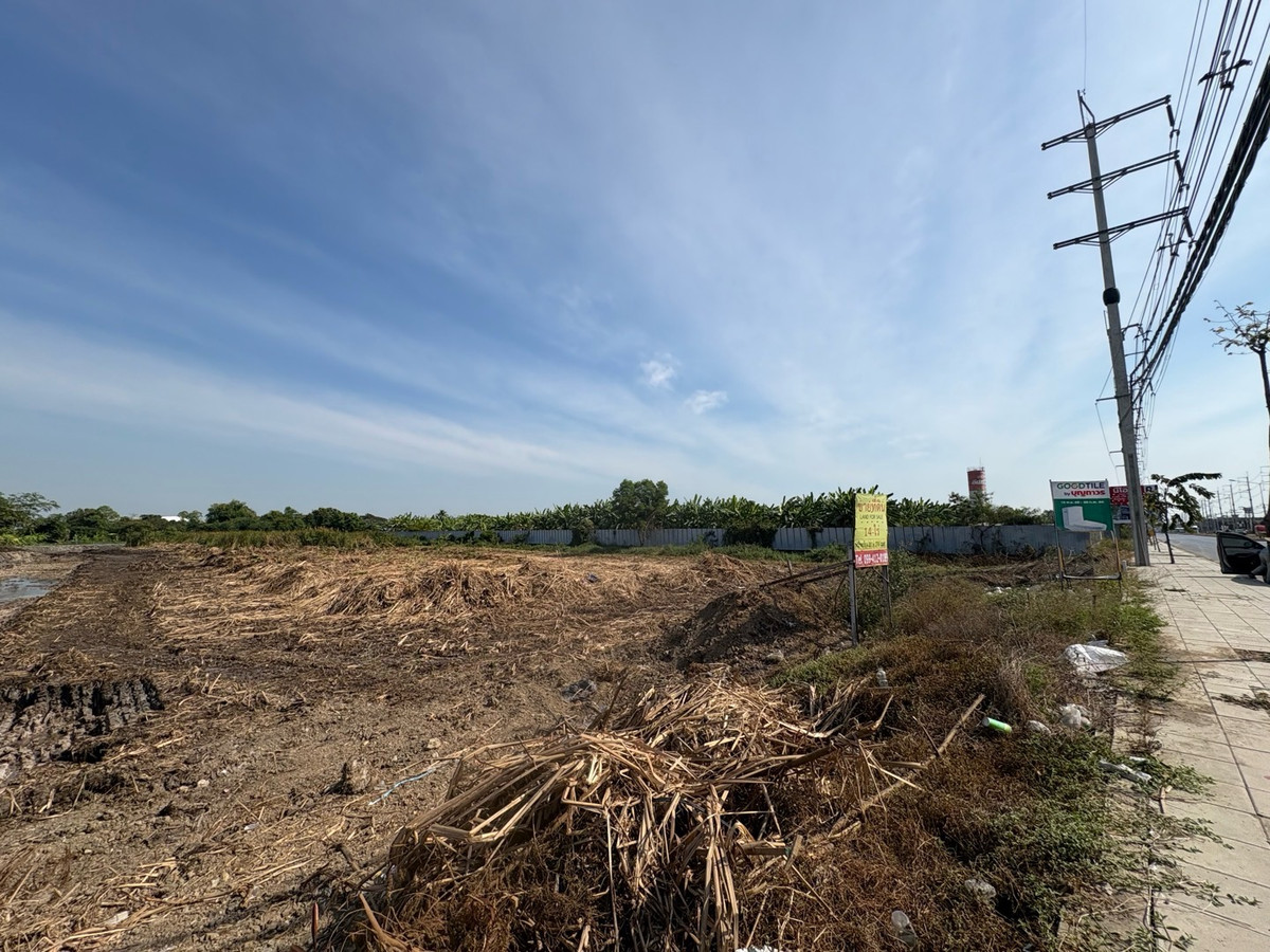 ขายที่ดินปทุมธานี รังสิต ธรรมศาสตร์ : ขายที่ดินติดถนนใหญ่ 4 เลน ถ.ลำลูกกา คลอง 7 -ธัญบุรี (ปท 3004)