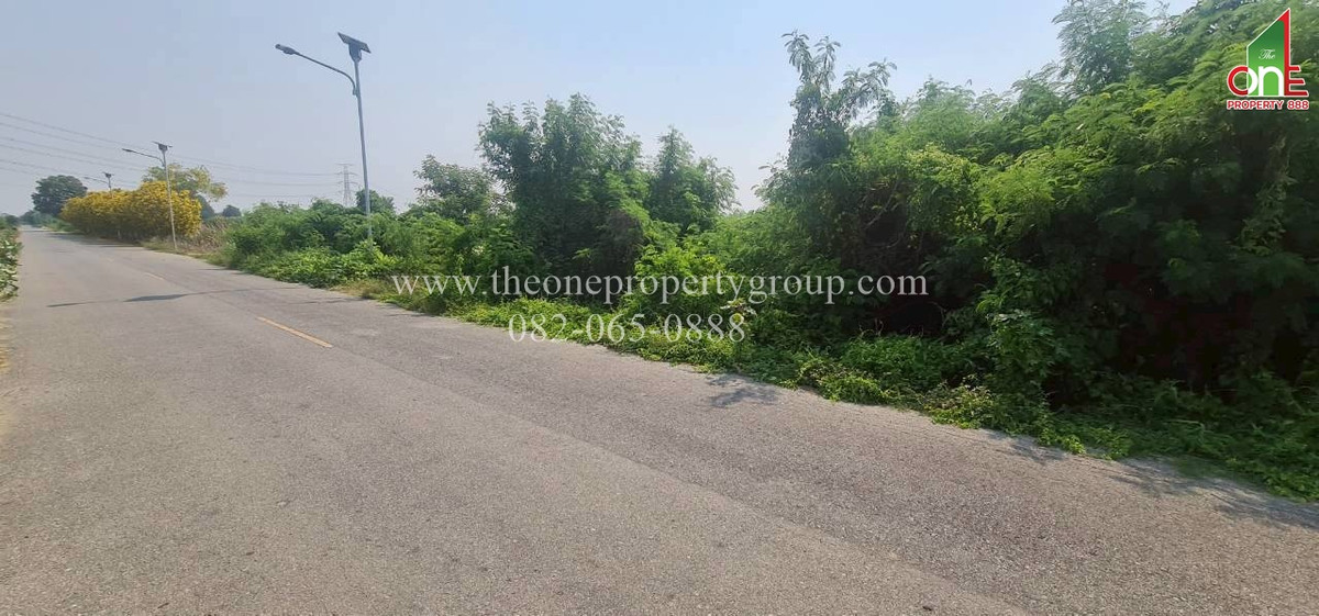 ขายที่ดินนครปฐม : ที่ดิน 1-2-58.8 ไร่ ยังไม่ถม ถ.มาลัยแมน ถ.เลียบคลองประปา ต.บ้านยาว อ.เมืองนครปฐม จ.นครปฐม