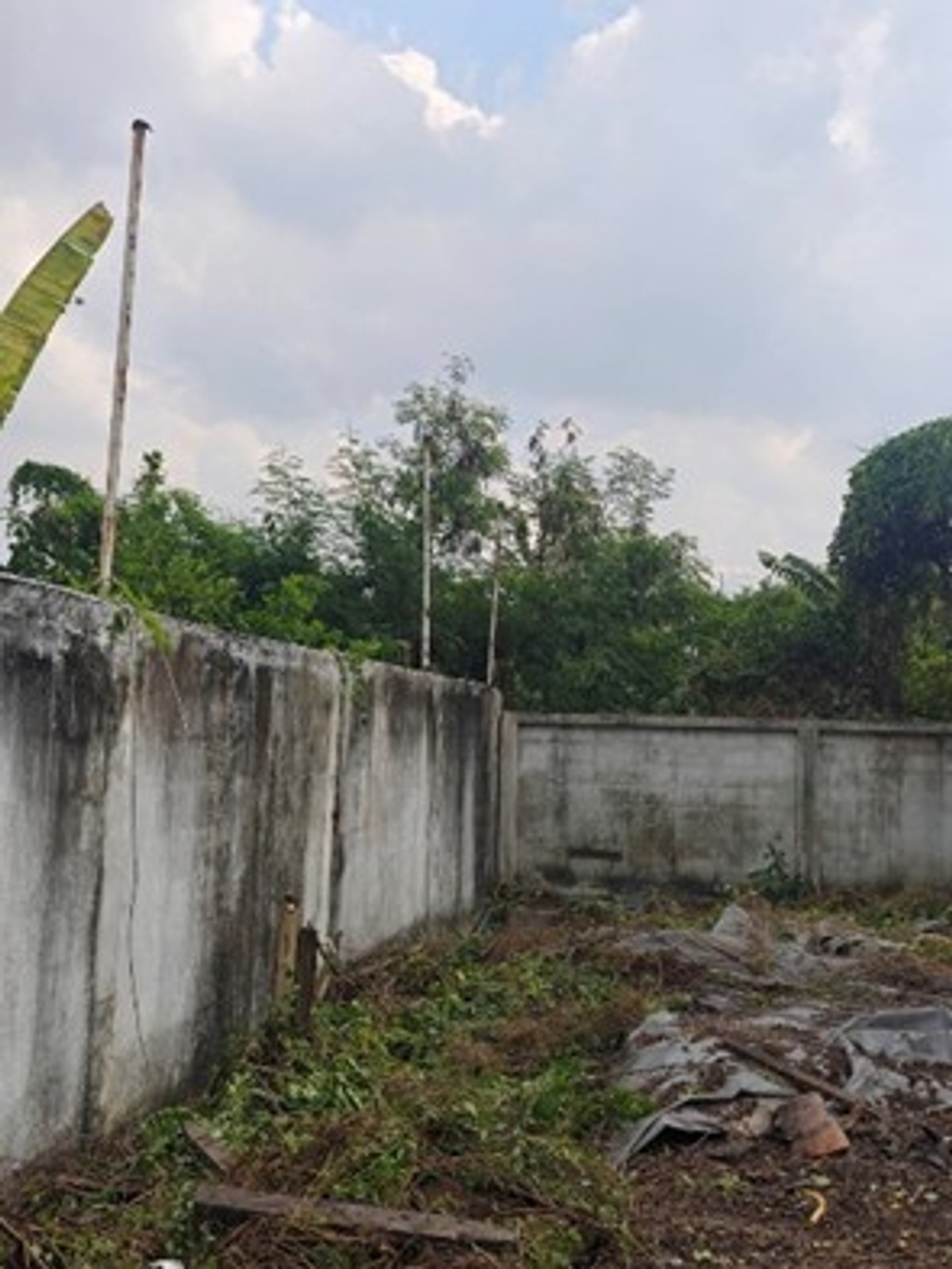 ให้เช่าที่ดินนนทบุรี บางใหญ่ บางบัวทอง : ให้เช่าที่ดิน พร้อมที่พักคนงาน เนื้อที่ 150 ตรว ซอยไทรม้า  รัตนาธิเบศร์ ราชพฤกษ์