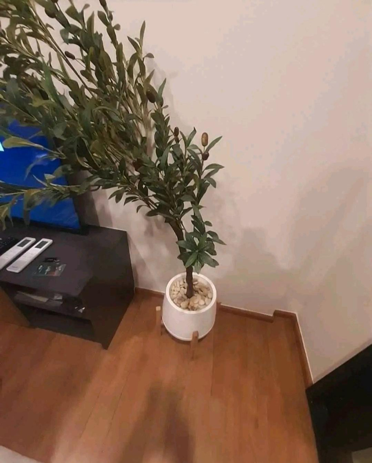 For RentCondoLadprao, Central Ladprao : The Line Vibe for rent