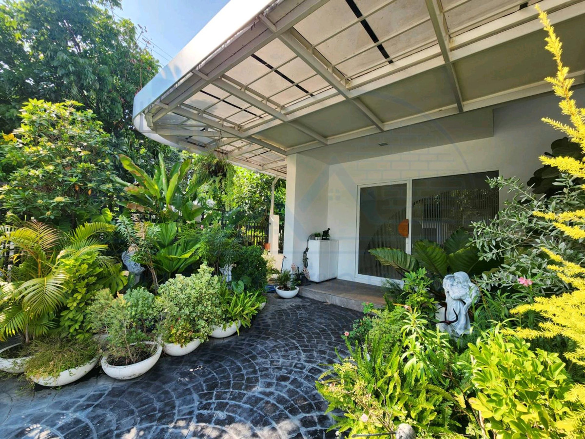 ให้เช่าทาวน์โฮมโชคชัย4 ลาดพร้าว71 : ให้เช่า Townhome Office ลาดพร้าว 73🌳☀️☀️ 拉普拉奥 73 号联排别墅办公室出租。