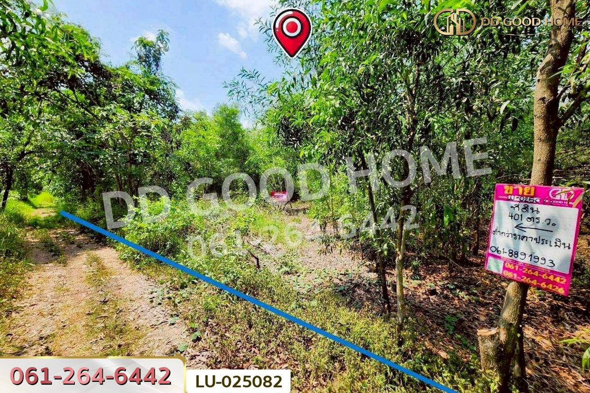 ขายที่ดินมีนบุรี-ร่มเกล้า : ที่ดินคลองสิบสอง 1 ไร่ 1 ตร.ว. หนองจอก ใกล้ศูนย์สุขภาพโรงพยาบาลเวชการุณย์รัศมิ์ LU-025082