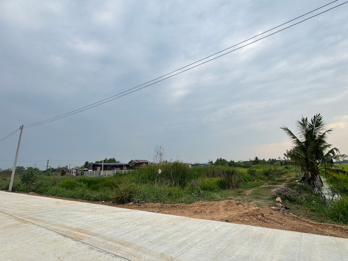 ขายที่ดินปทุมธานี รังสิต ธรรมศาสตร์ : ขายที่ดิน