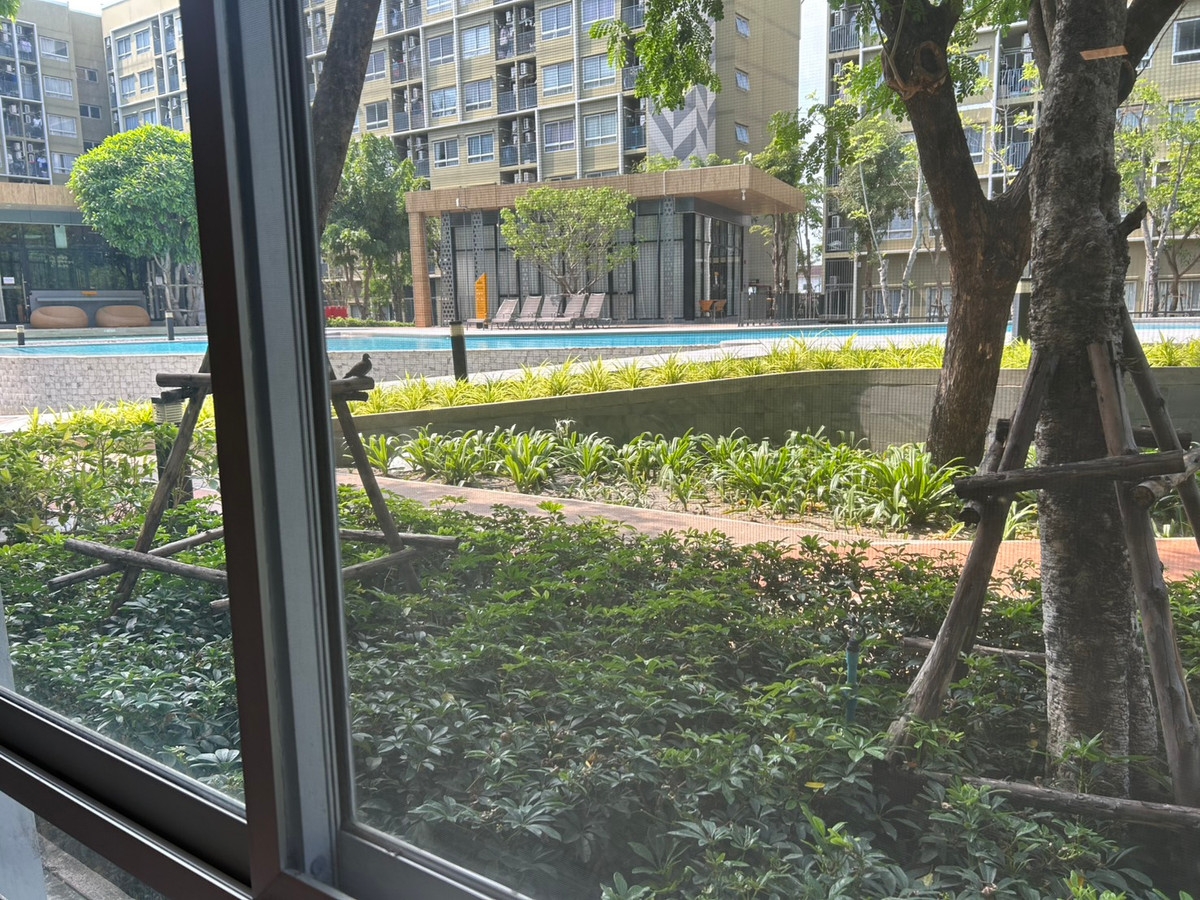 For SaleCondoPathum Thani,Rangsit, Thammasat : 97602 - Plum Condo Rangsit Alive 1 for sale.