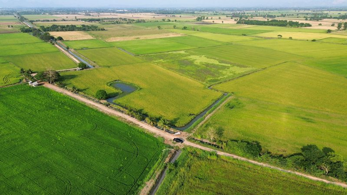 For SaleLandLop Buri : Rice field 8-2-29 rai, near Ban Klap Railway Station, Don Pho Subdistrict, Mueang District, Lopburi Province.