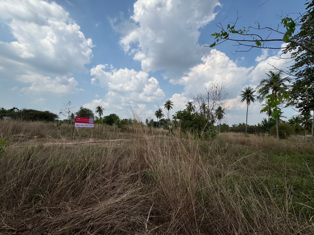 ขายที่ดินพัทยา บางแสน ชลบุรี สัตหีบ : ขาย!!! ที่ดิน 1 ไร่ 3 งาน 21 ตารางวา ซอยวัดเวฬุวนาราม (กอไผ่) ต.ตะเคียนเตี้ย อ.บางละมุง จ.ชลบุรี