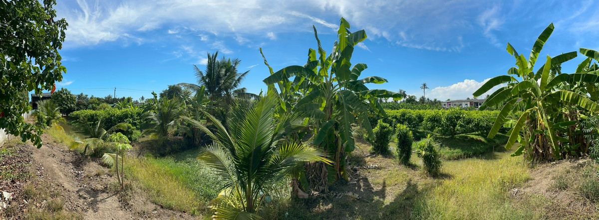 For SaleLandBang kae, Phetkasem : Empty land for sale, Soi Ruam Yat, area 8-0-72 rai, good location, convenient travel, access to water and electricity.