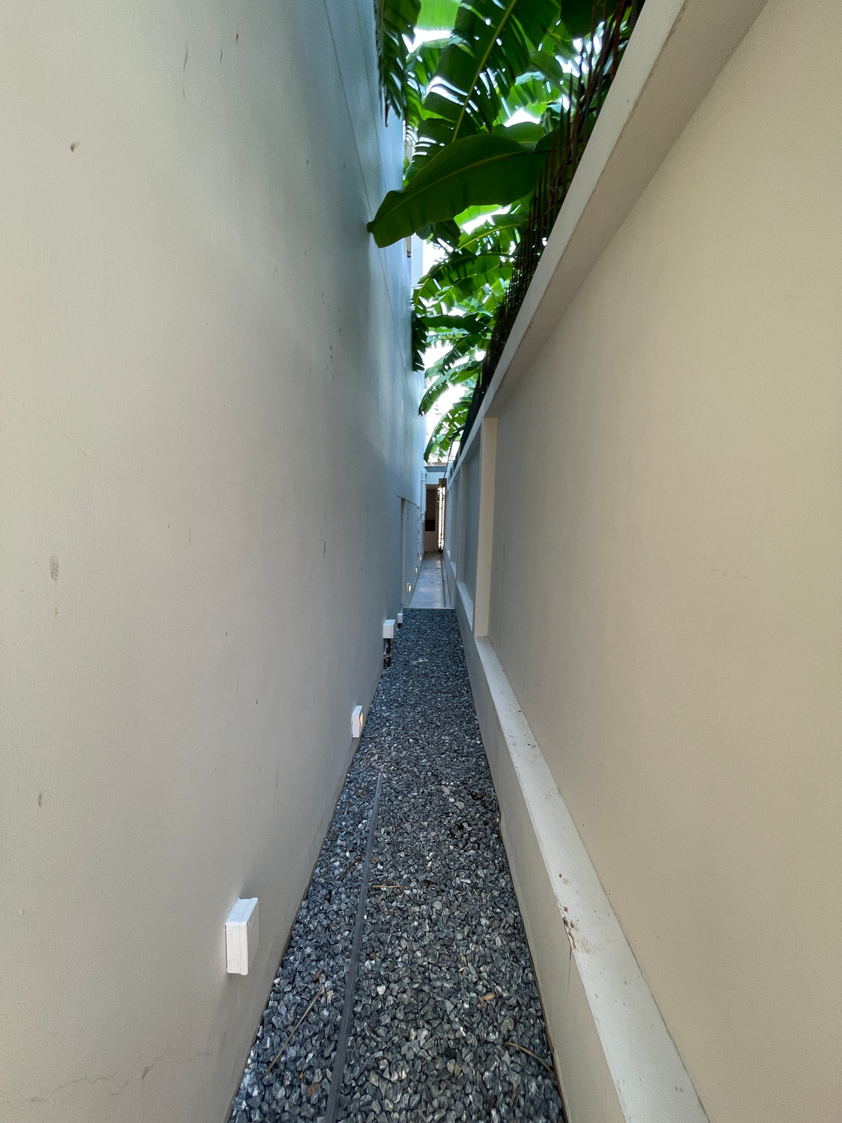 ขายบ้านเลียบทางด่วนรามอินทรา : 🔥 EXCLUSIVE PROMOTION 🔥โอกาสสุดท้ายในการครอบครองในราคาพิเศษที่สุด [ขาย] 💎 Ultra Luxury Show Unit | ELIVA Ekkamai - Eastville 💎 บ้านเดี่ยวหรู 3 ชั้น ดีไซน์ Mid-Century Modern — ความเป็นส่วนตัวสูงสุดเพียง 4 ยูนิตในโครงการ!