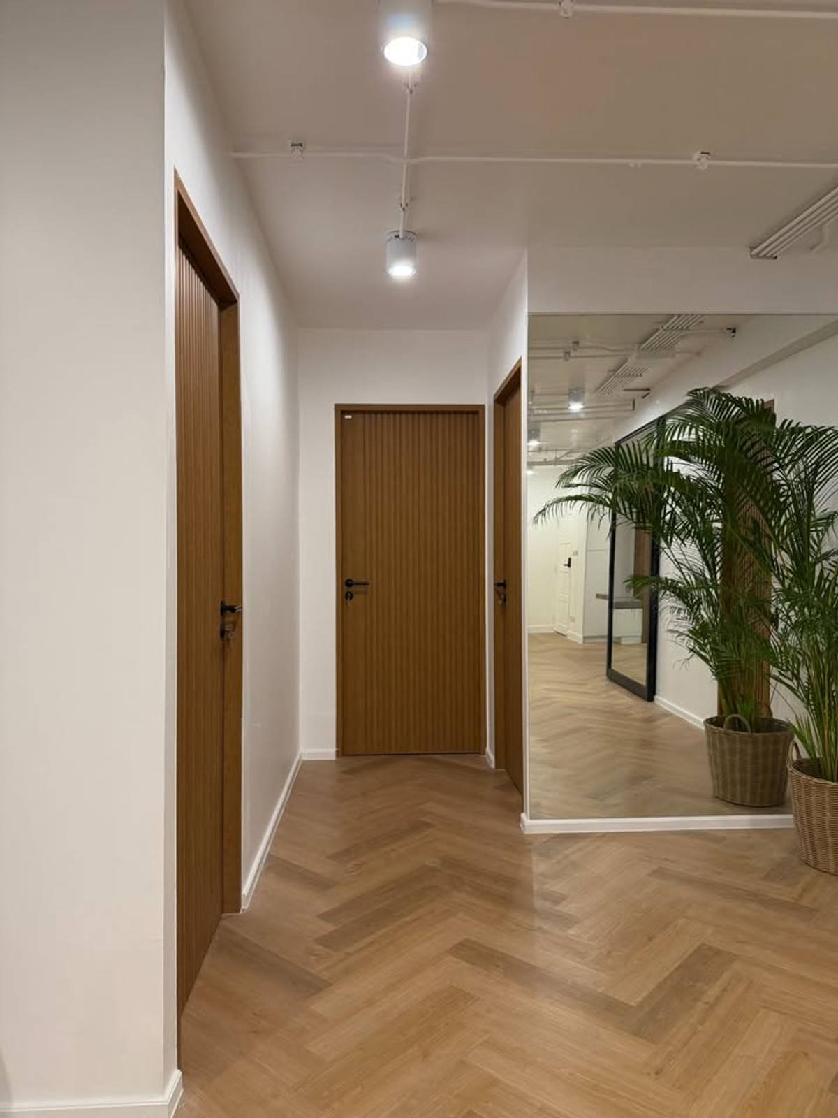 For RentCondoSukhumvit, Asoke, Thonglor : Richmond Palace Condominium for rent, 95,000 THB [NCr260314]