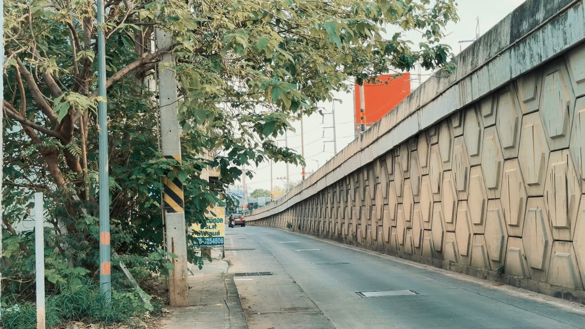 ขายที่ดินโคราช นครราชสีมา : ขายที่ดินติดสะพานหัวเล แปลงใหญ่ ติดถนนราชสีมา-โชคชัย เหมาะสำหรับนักลงทุน✨