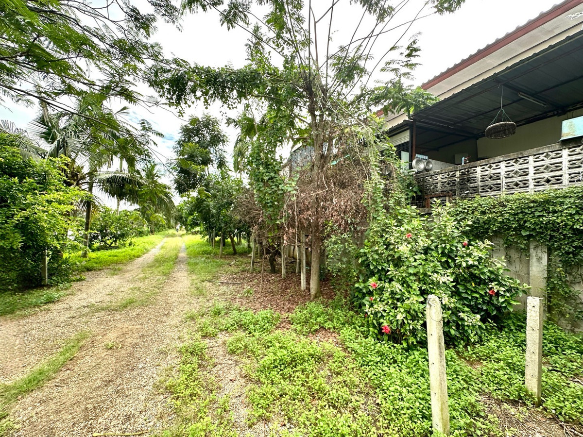 ให้เช่าที่ดินปทุมธานี รังสิต ธรรมศาสตร์ : ให้เช่าที่ดินติดถนน 6ไร่ ใกล้ถนนนิมิตรใหม่ ลำลูกกาคลอง 7 ปทุมธานี ที่ดินล้อมรั้วแล้ว