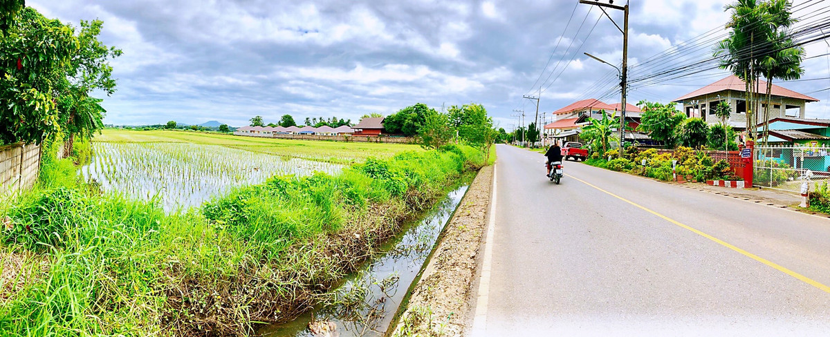 ขายที่ดินเชียงราย : ขายที่ดิน ทำเลทอง บ้านดู่ อ.เมือง จ.เชียงราย 17 ไร่ ๆ ละ 4 ล้าน ใกล้สนามบิน ม.ราชภัฏ สร้างหอพัก หมู่บ้านได้ ทำเลที่พักอาศัย