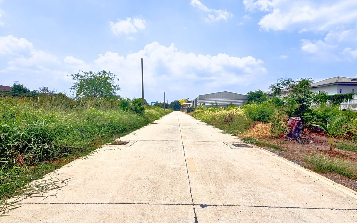 ขายที่ดินปทุมธานี รังสิต ธรรมศาสตร์ : ขายที่ดินคลองหลวง คลองหนึ่ง 100 ตารางวา