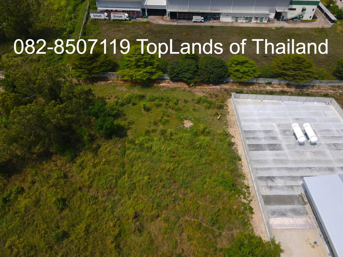 ขายที่ดินศรีราชา แหลมฉบัง บ้านบึง : ขาย ที่ดิน ศรีราชา แหลมฉบัง ผังสีม่วง (ใกล้ท่าเรือ และนิคมอุตสาหกรรม 2 แห่ง) เนื้อที่ 6 ไร่ ถนนกว้าง 8-12 m. เหมาะสร้าง โกดัง คลังสินค้า โรงงานอุตสาหกรรม