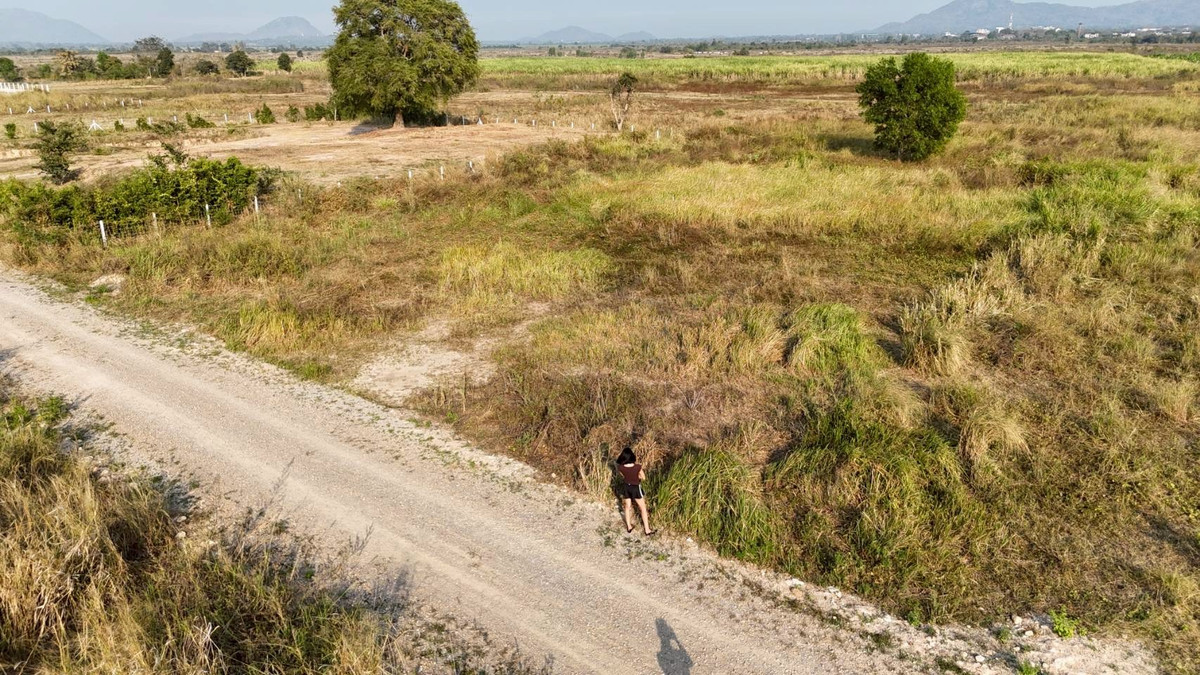 ขายที่ดินชะอำ เพชรบุรี : ขายที่ดิน 1 ไร่ ใน ต.ไร่ใหม่พัฒนา อ.ชะอำ จ.เพชรบุรี ราคา 950,000 บาท