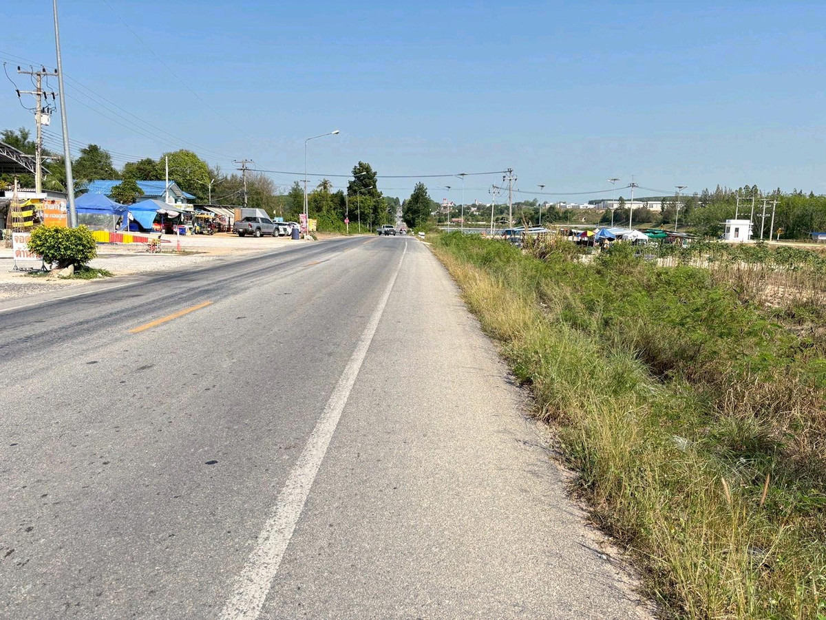 ขายที่ดินระยอง : ขายที่ดินระยอง 48 ไร่ ติดถนนสาย 15 หน้ากว้าง 480 เมตร เขตพื้นที่สีม่วงลายตาราง
