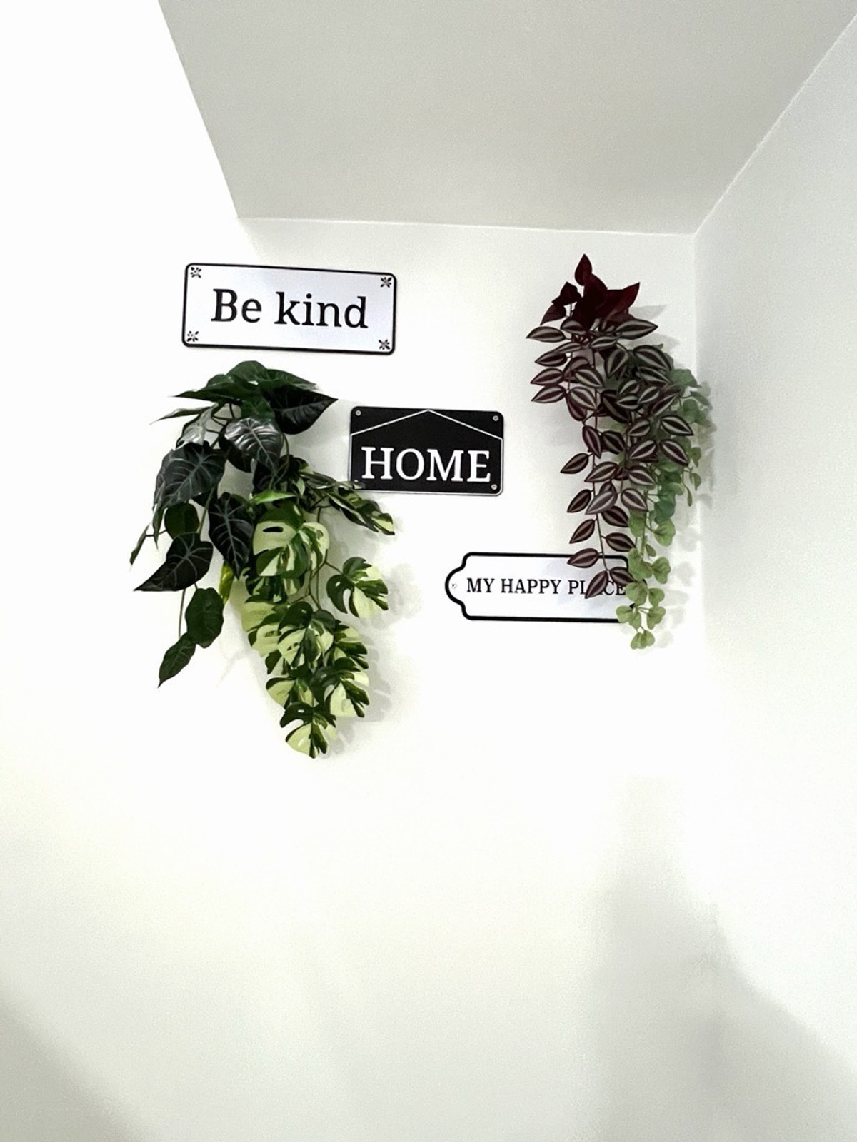 ให้เช่าทาวน์โฮมบางนา แบริ่ง ลาซาล : (Owner‘s post,Agent’s welcome) 🔥ให้เช่าพรีเมียมทาวน์โฮม 3 ห้องนอน แต่งครบพร้อมอยู่ ทำเลติดเมกาบางนา ⭐️ พลีโนสุขุมวิท-บางนา 2 🌈 Fully Furnished ใกล้ห้าง ใกล้ทางด่วนและโรงเรียนนานาชาติชั้นนำ 