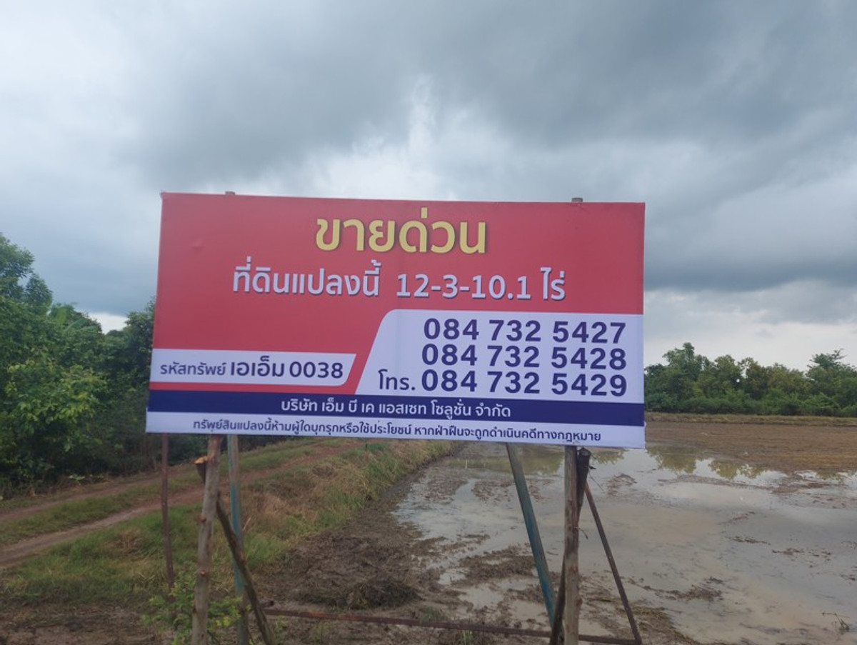 ขายที่ดินฉะเชิงเทรา : ที่ดินเปล่า จ.ฉะเชิงเทรา