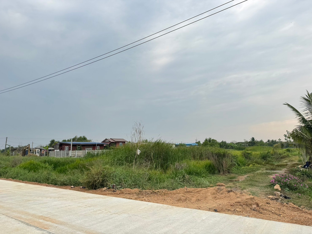 ขายที่ดินปทุมธานี รังสิต ธรรมศาสตร์ : ขายที่ดิน