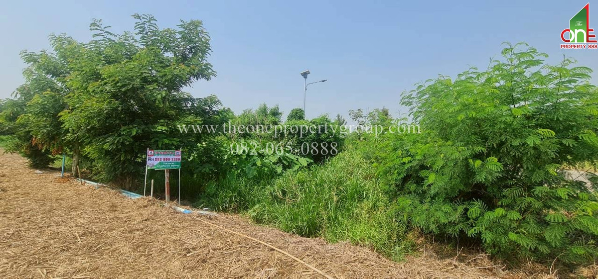 ขายที่ดินนครปฐม : ที่ดิน 1-2-58.8 ไร่ ยังไม่ถม ถ.มาลัยแมน ถ.เลียบคลองประปา ต.บ้านยาว อ.เมืองนครปฐม จ.นครปฐม