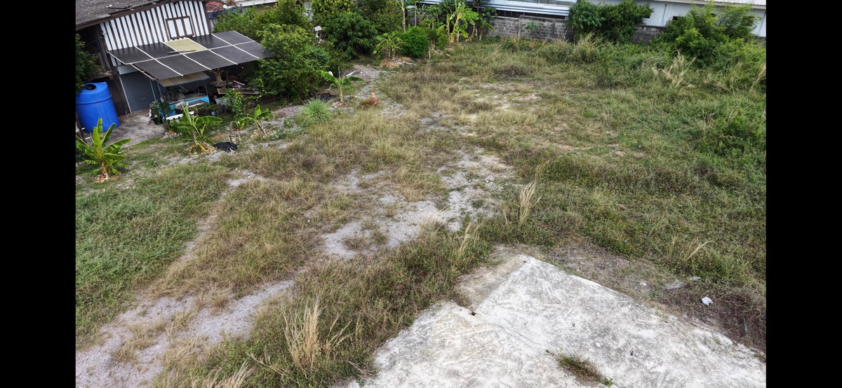 ขายที่ดินพัทยา บางแสน ชลบุรี สัตหีบ : ที่ดินสัตหีบ ซอย19 ห่างจากถนนสุขุมวิทเพียง 15 เมตร ทำเลดี ห่างจากพัทยา 20 นาที 