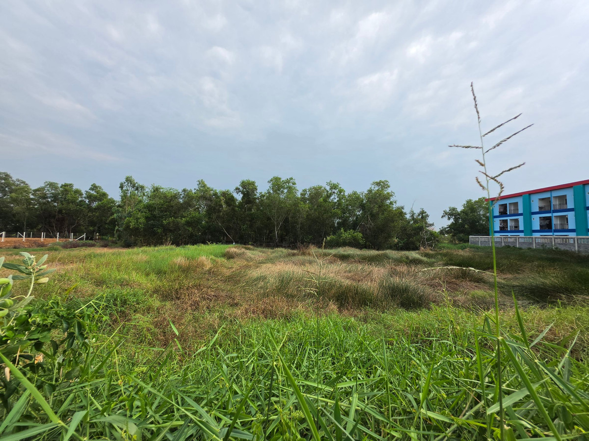 ขายที่ดินปทุมธานี รังสิต ธรรมศาสตร์ : 💥ขายที่ดินทำเลทอง 1 ไร่ ติด 