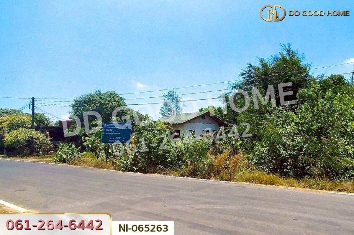 ขายที่ดินปราจีนบุรี : ที่ดินพร้อมสิ่งปลูกสร้างท่างาม 3 ไร่ 229.3 ตร.ว. ปราจีนบุรี ใกล้วัดกระแจะ NI-065263