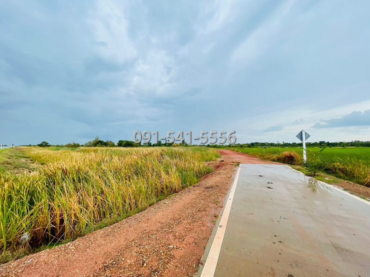 ขายที่ดินโคราช นครราชสีมา : ขายที่ดิน รูปแปลงที่ดินถุงเงินถุงทอง เนื้อที่ 9-2-67.7 ไร่ ถนนวงแหวนรอบเมือง 290 เหนือตอน 2 กำปัง โนนไทย นครราชสีมา