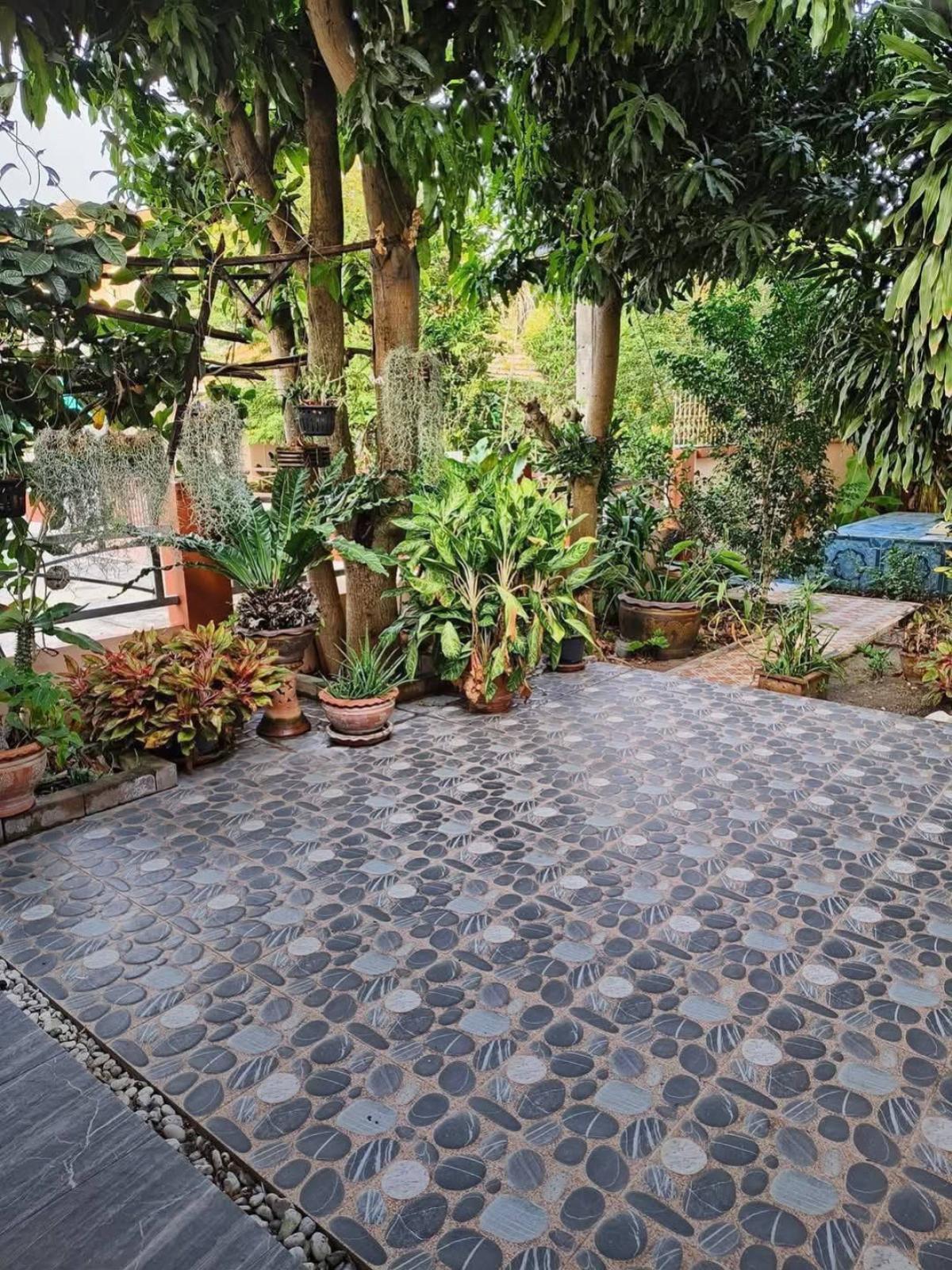 ขายบ้านสมุทรปราการ สำโรง : ขายบ้าน  กัลปพฤกษ์ การ์เด้น บางนา บางบ่อ บางบ่อ สมุทรปราการ CX-151340