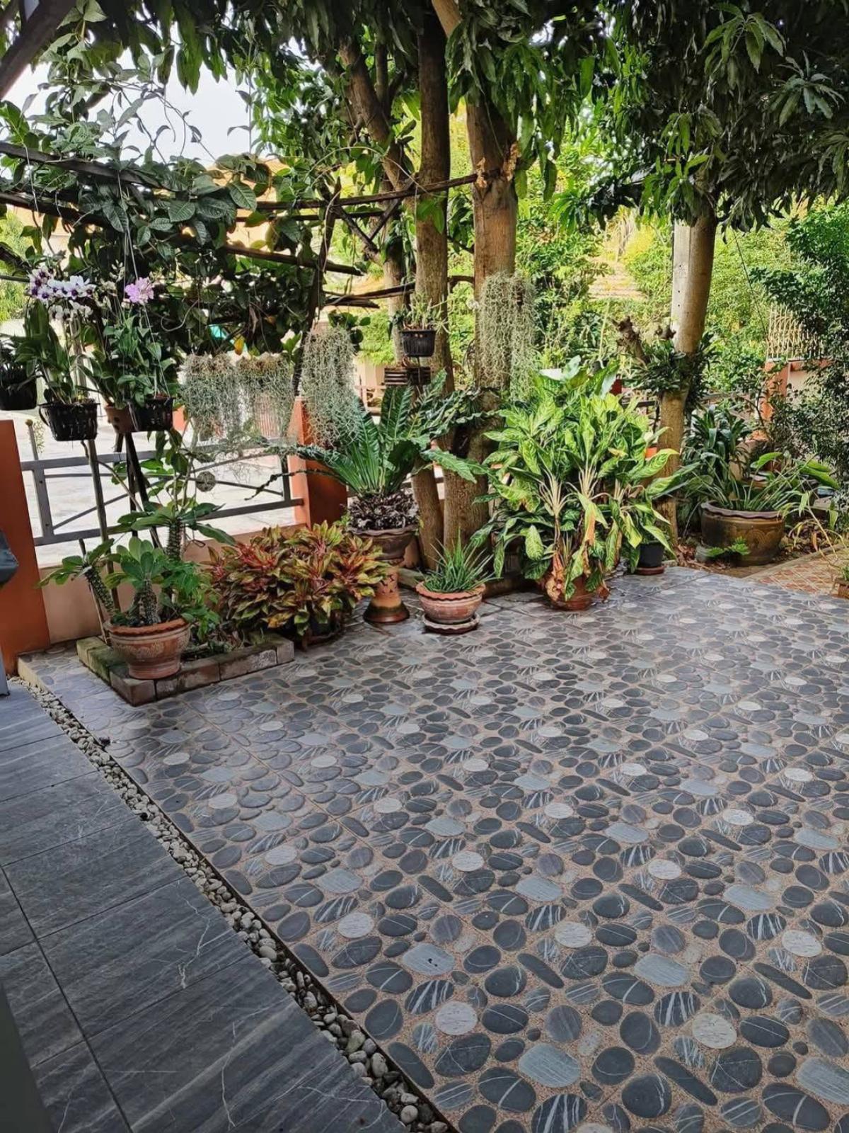 ขายบ้านสมุทรปราการ สำโรง : ขายบ้าน  กัลปพฤกษ์ การ์เด้น บางนา บางบ่อ บางบ่อ สมุทรปราการ CX-151340