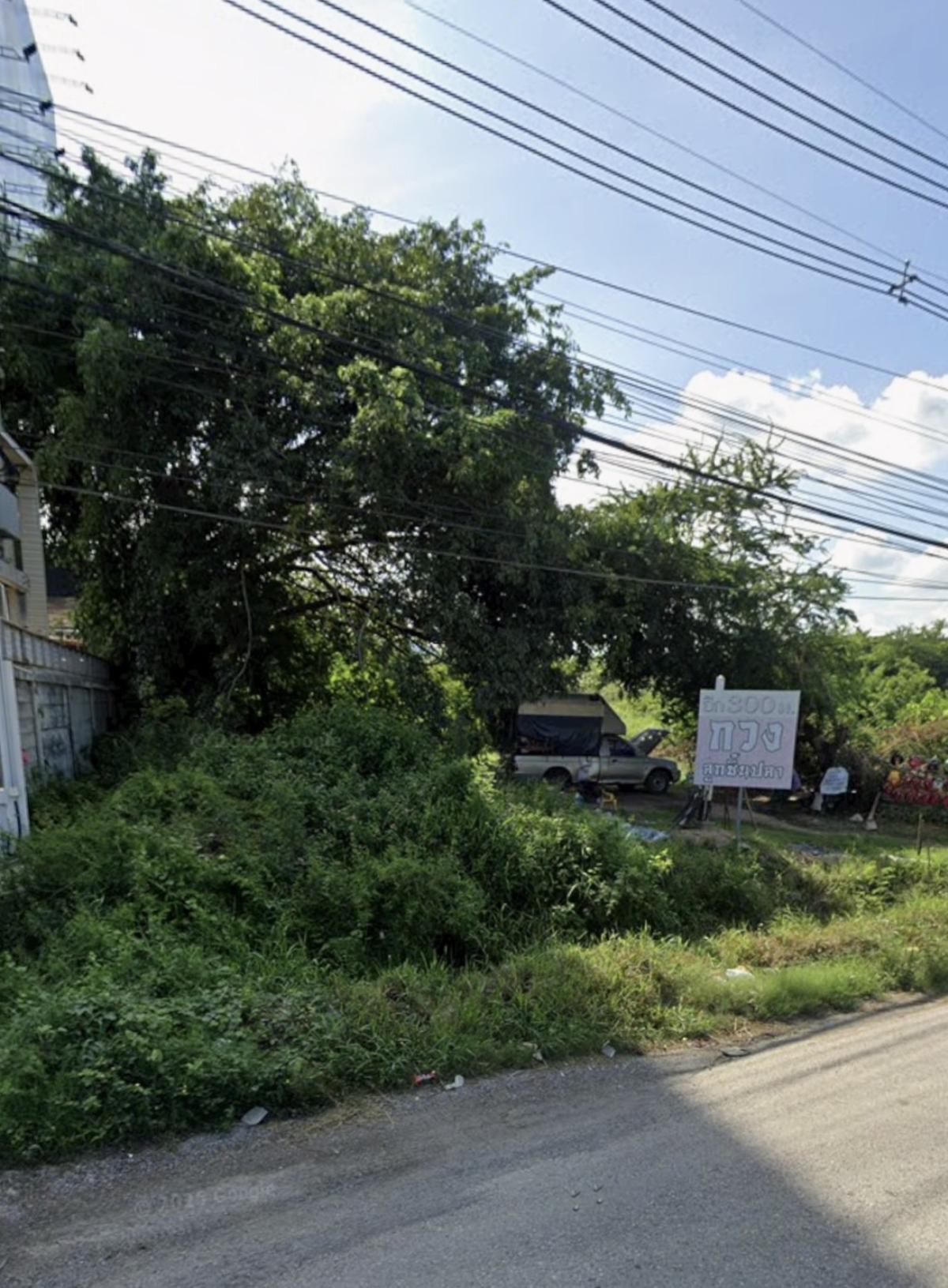 ขายที่ดินชะอำ เพชรบุรี : ขายที่ดินชะอำ ฝั่งขาขึ้น ใกล้ปั้มลุงเท่ง เขาใหญ่ ชะอำ เพชรบุรี CX-151144