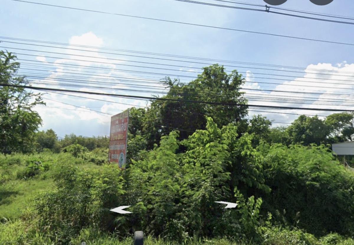 ขายที่ดินชะอำ เพชรบุรี : ขายที่ดินชะอำ ฝั่งขาขึ้น ใกล้ปั้มลุงเท่ง เขาใหญ่ ชะอำ เพชรบุรี CX-151144