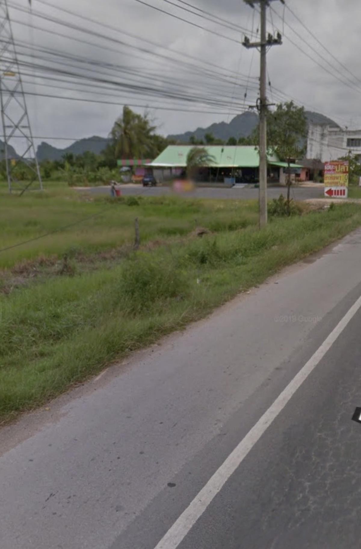 ขายที่ดินชะอำ เพชรบุรี : ขายที่ดินชะอำ ขาลงใต้ ตรงข้ามพันธ์สุข เขาใหญ่ ชะอำ เพชรบุรี CX-151141