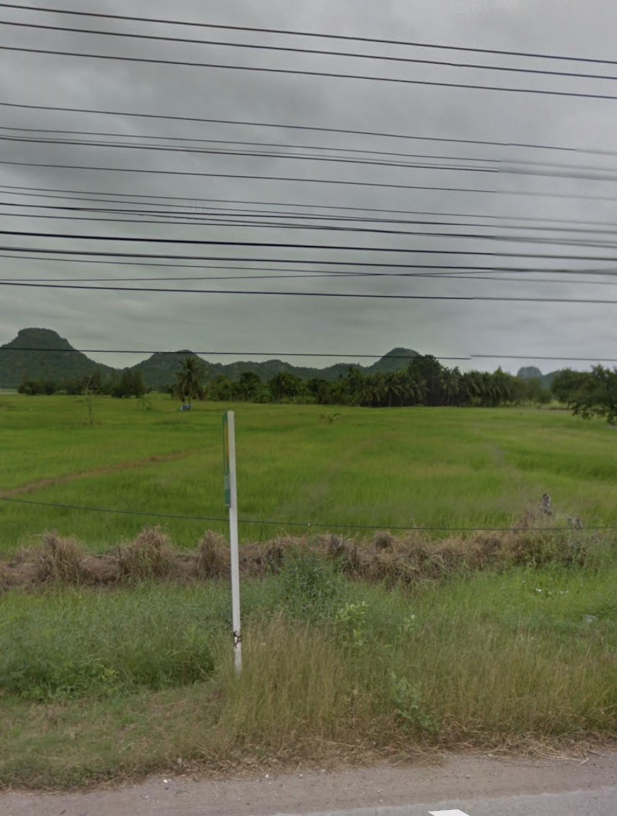 ขายที่ดินชะอำ เพชรบุรี : ขายที่ดินชะอำ ขาลงใต้ ตรงข้ามพันธ์สุข เขาใหญ่ ชะอำ เพชรบุรี CX-151141