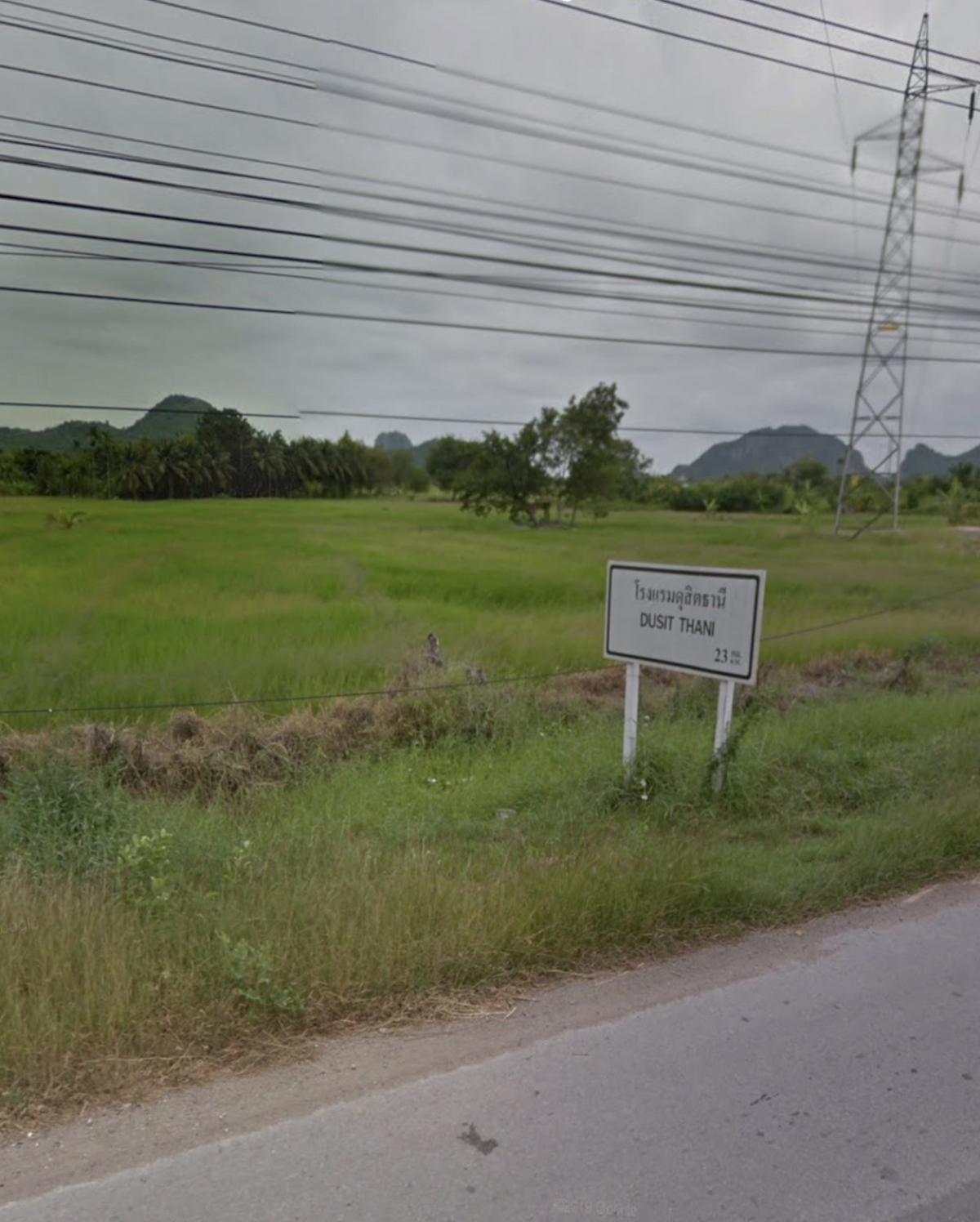 ขายที่ดินชะอำ เพชรบุรี : ขายที่ดินชะอำ ขาลงใต้ ตรงข้ามพันธ์สุข เขาใหญ่ ชะอำ เพชรบุรี CX-151141