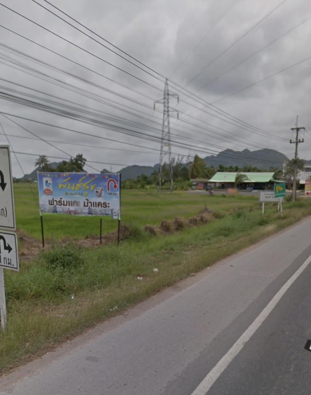 ขายที่ดินชะอำ เพชรบุรี : ขายที่ดินชะอำ ขาลงใต้ ตรงข้ามพันธ์สุข เขาใหญ่ ชะอำ เพชรบุรี CX-151141