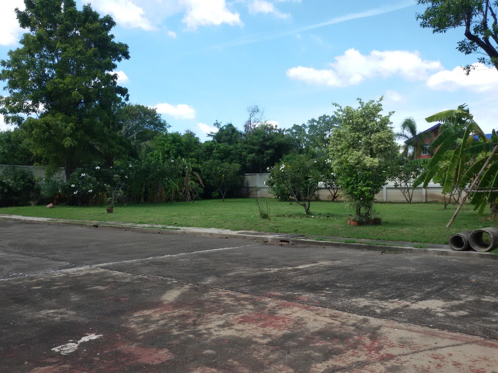 ขายที่ดินพุทธมณฑล ศาลายา : ขายที่ดินถมแล้ว (เทปูน พร้อมแปลนก่อสร้าง และเลขที่บ้าน) ม.อมรชัย3 บรมราชชนี ซ.72 ทวีวัฒนา