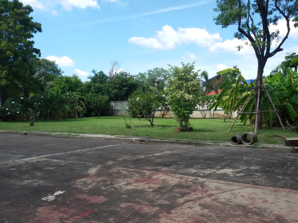 ขายที่ดินพุทธมณฑล ศาลายา : ขายที่ดินถมแล้ว (เทปูน พร้อมแปลนก่อสร้าง และเลขที่บ้าน) ม.อมรชัย3 บรมราชชนี ซ.72 ทวีวัฒนา