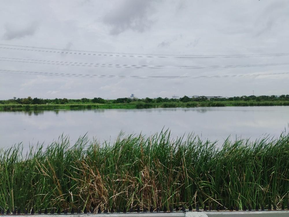 ขายทาวน์โฮมมีนบุรี-ร่มเกล้า : 🍒ขาย ตกแต่งใหม่หมด ทาวน์ โฮม อิน ดี้ ศรีนครินทร์ ร่มเกล้า  ใกล้แอร์พอร์ตลิงค์ ลาดกระบัง เหมือนมือ 1