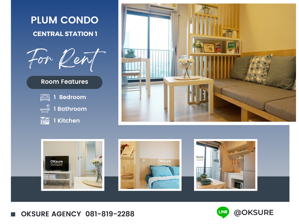 For RentCondoNonthaburi, Bang Yai, Bangbuathong : Condo for Rent Plum condo central station P1  (contain video clip)