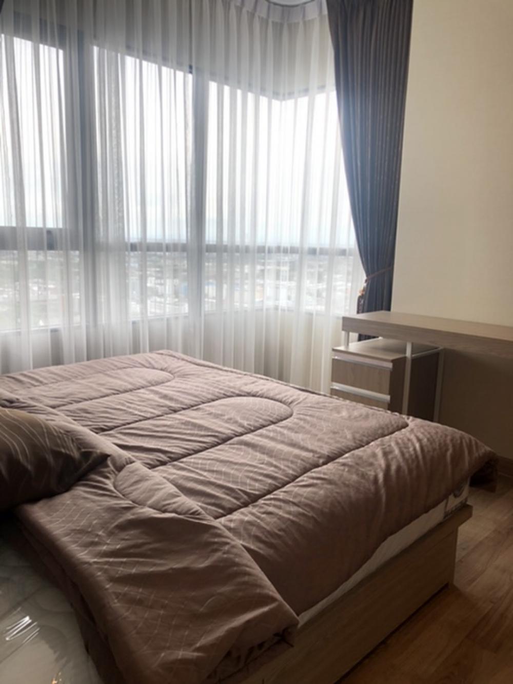 ให้เช่าคอนโดบางนา แบริ่ง ลาซาล : 🏢RENT Condo Niche Mono Sukhumvit Bearing ให้เช่าคอนโด นิชโมโน สุขุมวิท แบริ่ง