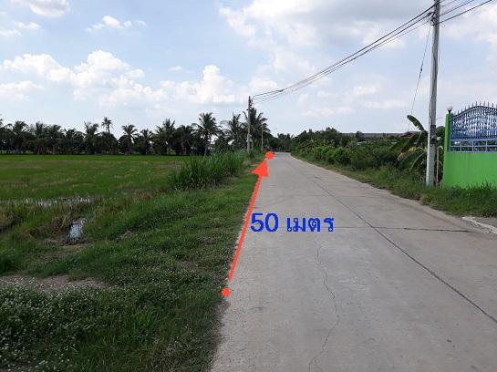 For SaleLandPathum Thani,Rangsit, Thammasat : Beautiful land for sale 19 rai 99 wah, Lad Lum Kaeo, Pathumtani, more than 50 meters adjacent to the concrete road, good atmosphere