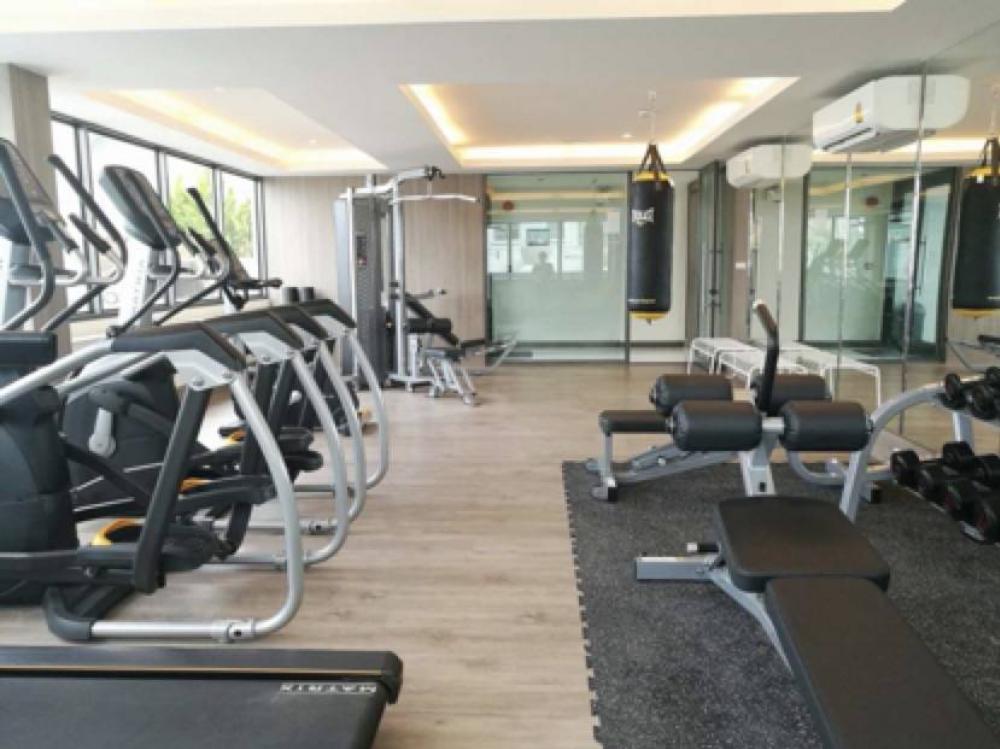 For RentCondoOnnut, Udomsuk : Mayfair place sukhumvit 50 for rent type:1bed1bath size:30sqm floor :12th price;13000bath contact:Danny tel:0613906429